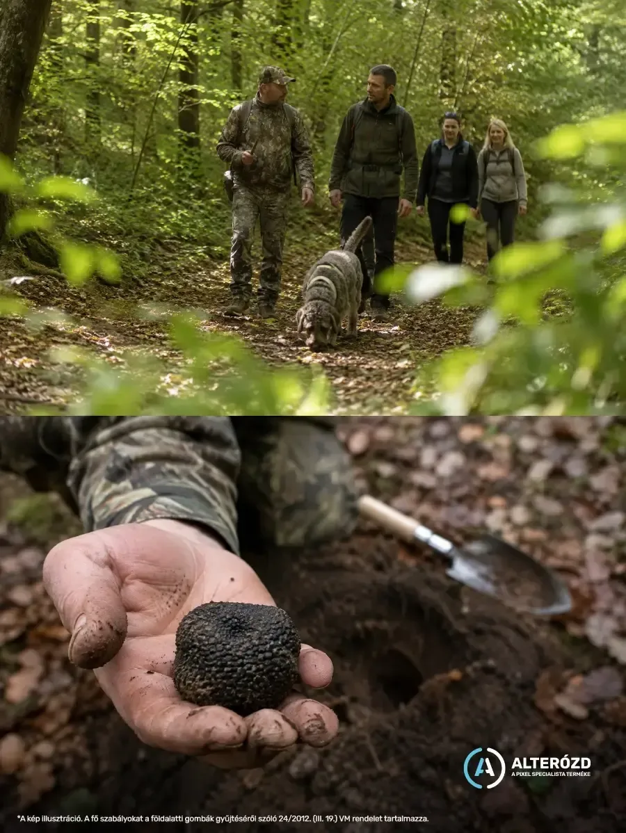 A Bükkalja Vendégház, a Gömöri-erdőhát kerékpáros kapuja – látványterv 4