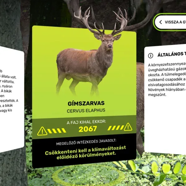 Kiterjesztett valóság (AR) az erdei szobában